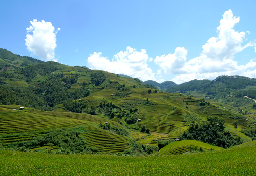 Thiết kế sân vườn, thiết kế sân vườn biệt thự, thiết kế sân vườn đẹp, sân vườn biệt thự, sân vườn sinh thái, biệt thự sinh thái, thiết kế sân vườn tiểu cảnh, thiết kế sân vườn cảnh quan, thiết kế hồ Koi, thiết kế hồ cá Koi, thiết kế hồ cá chép Nhật, thiết kế hồ cá chép rồng, thiết kế vườn treo, thiết kế vườn trên mái, thiết kế vườn nước, thiết kế vườn Nhật, thiết kế vườn khô, thi công sân vườn, thi công sân vườn biệt thự, thi công sân vườn đẹp, thi công sân vườn tiểu cảnh, thiết kế cảnh quan, thiet ke canh quan, thi công sân vườn cảnh quan, thiết kế tiểu cảnh, giếng trời, thiet ke tieu canh, gieng troi,  thi công tiểu cảnh, giếng trời,  thi công cảnh quan, thi công hồ Koi, thi công hồ cá Koi, thi công hồ cá chép Nhật, thi công vườn treo, thi công vườn trên mái, thi công vườn Nhật